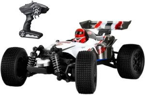 1:18 Scale Large RC Cars,35 KM/H Hobby Grade High Speed Remote Control Car for Adults Boys,All Terrain 4WD 2.4GHz Off Road Monster RC Truck with 380 Motor RC Rally Truck