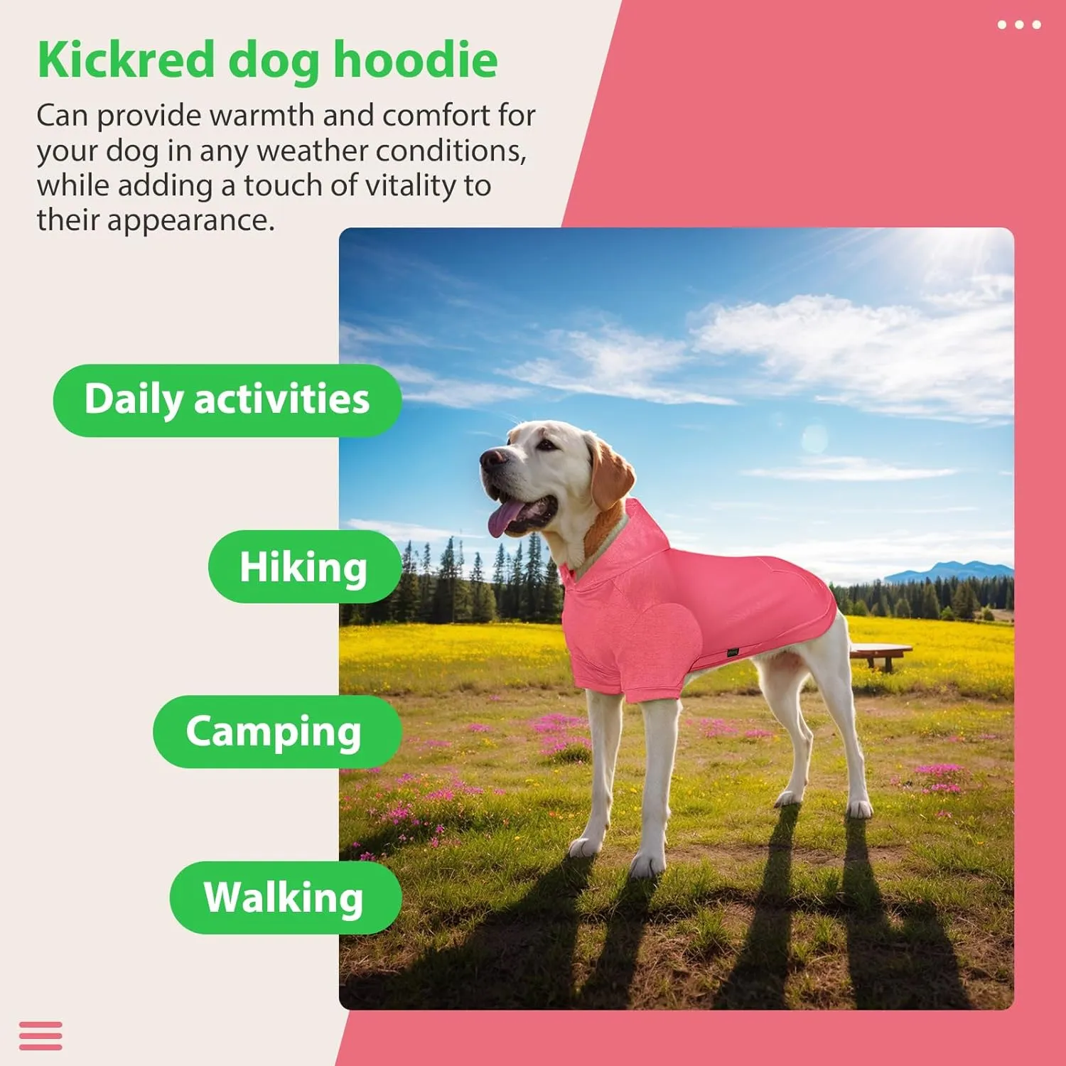 2 Pieces Basic Cotton Dog Hoodie Sweater, Soft Pet Clothes Dog Sweatshirts, Dog Outfit Coat Pullover with Pocket and Leash Hole for Small Medium Large Dogs, Fresh Green Pink/Sleeved (Medium)