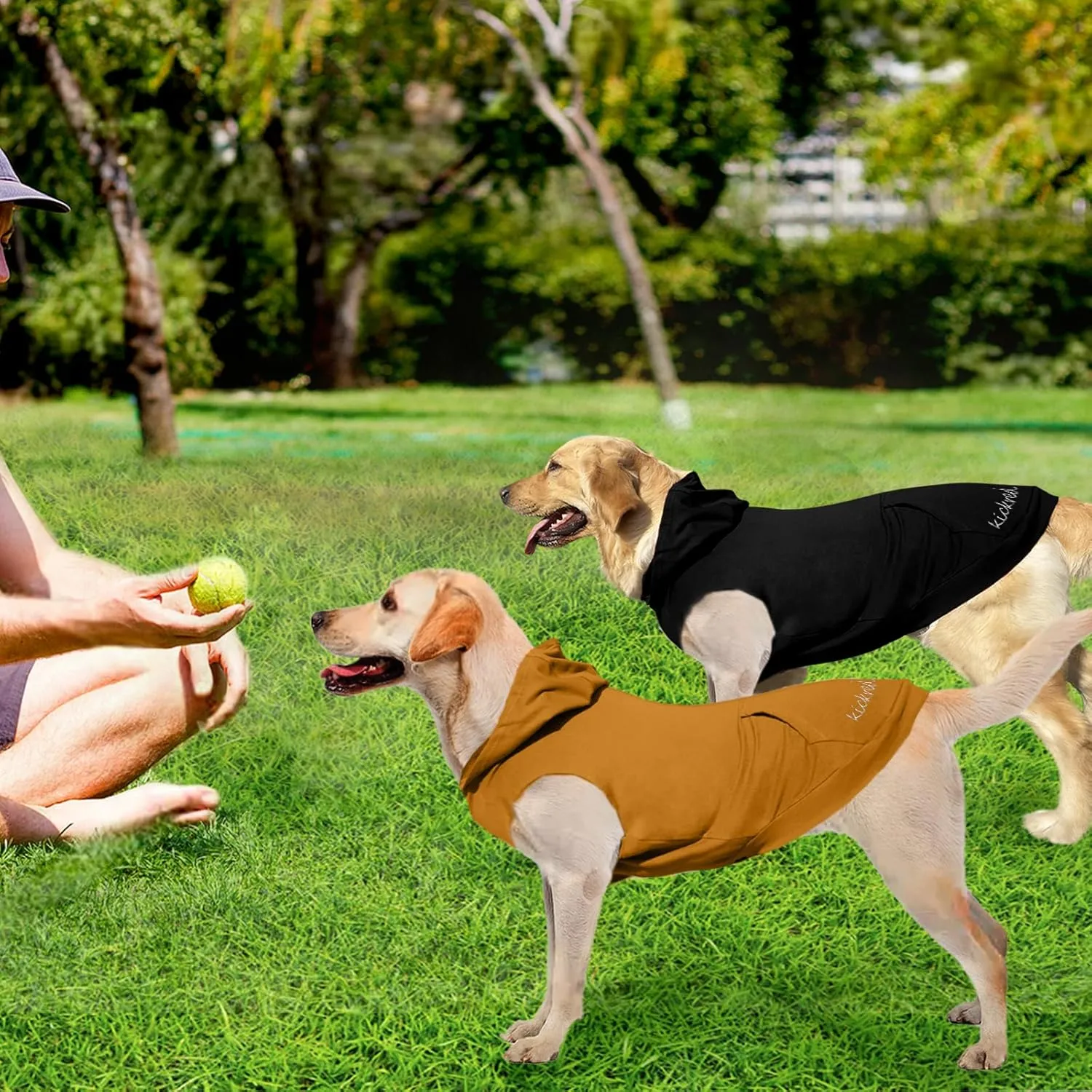 2 Pieces Dog Hoodie Sweaters, Spring Dog Vest Sweatshirt with Hat & Pocket & Leash Hole, Basic Pet Clothes Hoodies for Small Medium Large Dogs, Black & Earthy Yellow/Sleeveless (Small)