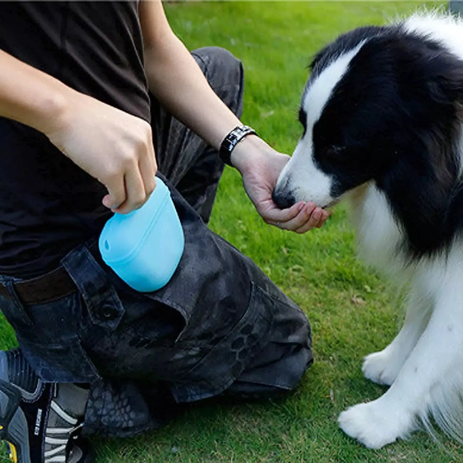 AquaPupz Portable Silicon Training Treat Bag