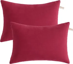 bedsum 2 Pack Toddler Pillows, 13''x18'' Microfiber Baby Pillows for Toddler, Travel, Pets, Soft and Machine Washable Small Pillows with Excellent Resilience for Neck, Wrist, and Knee Support, Red