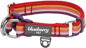 Blueberry Pet 3M Reflective Dog Collars | Adjustable Dog Collar w/Multi-Colored Stripe - Mixed Tone Rainbow Color | Nylon Pet Collars for Dogs & Refflective Dog Collar for Large Dogs