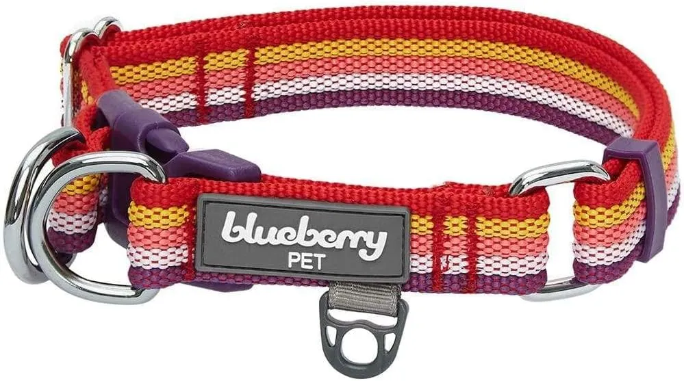 Blueberry Pet 3M Reflective Dog Collars | Adjustable Dog Collar w/Multi-Colored Stripe - Mixed Tone Rainbow Color | Nylon Pet Collars for Dogs & Refflective Dog Collar for Large Dogs