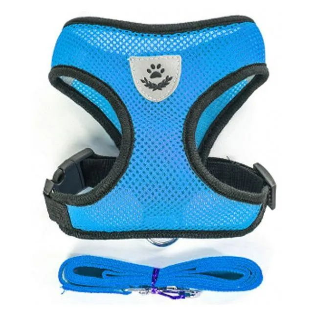 Breathable Small Dog Pet Harness and Leash Set