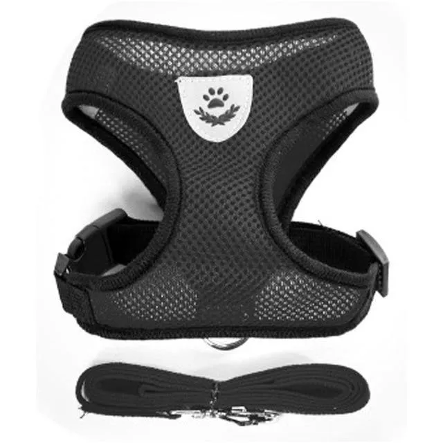 Breathable Small Dog Pet Harness and Leash Set