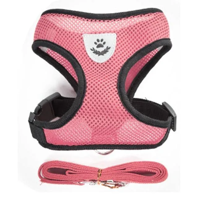 Breathable Small Dog Pet Harness and Leash Set