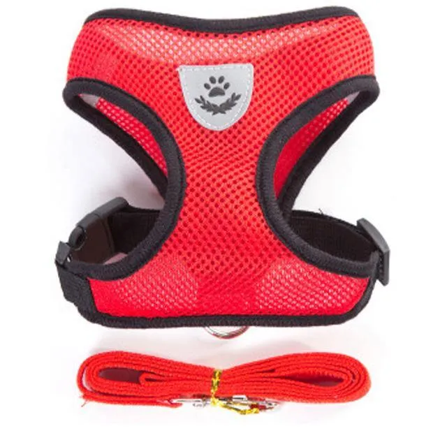 Breathable Small Dog Pet Harness and Leash Set