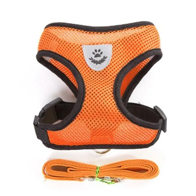 Breathable Small Dog Pet Harness and Leash Set