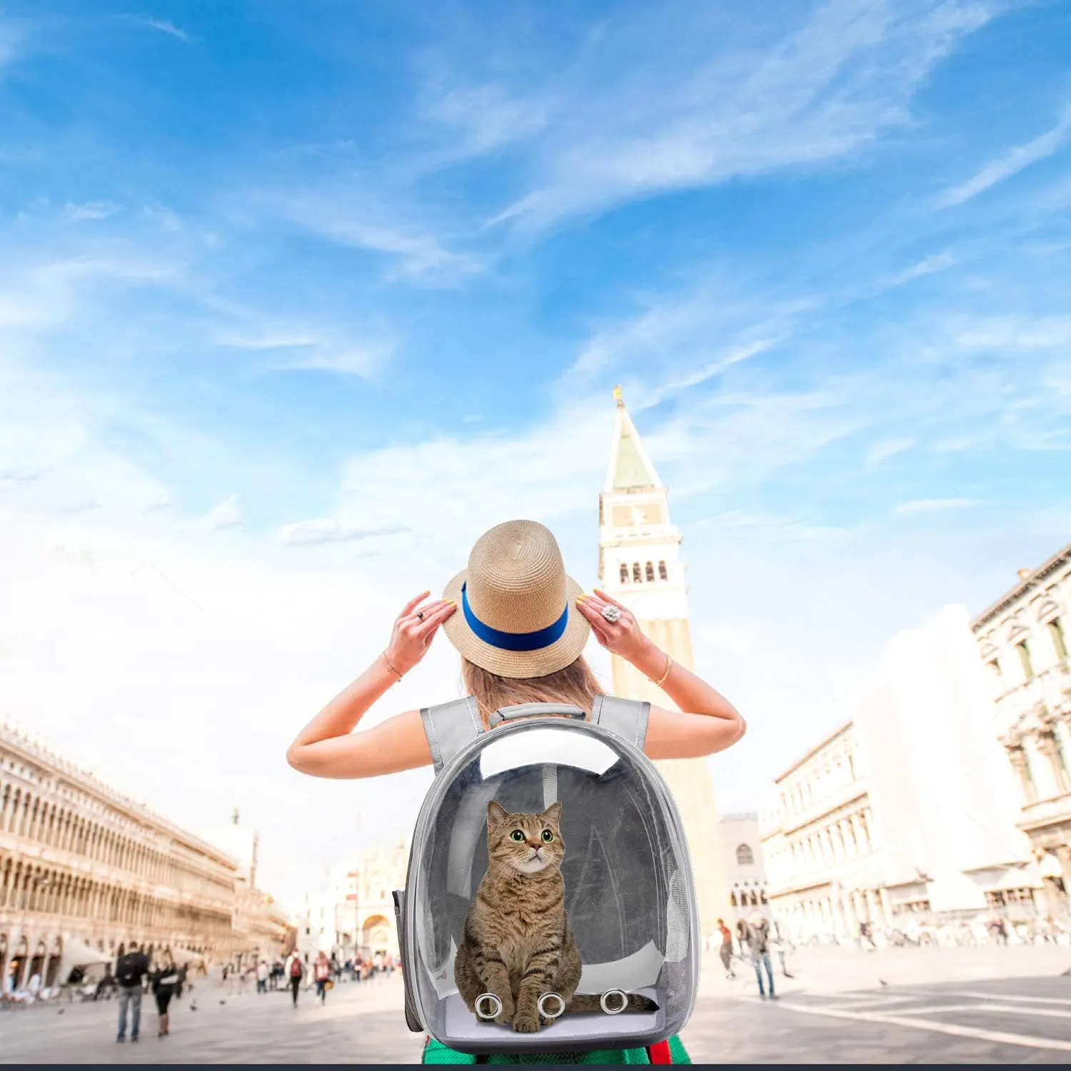 Bubble Carrying Bag for Small Medium dogs Cats, Space Capsule Pet Hiking backpack, Airline Approved Travel carrier - Grey