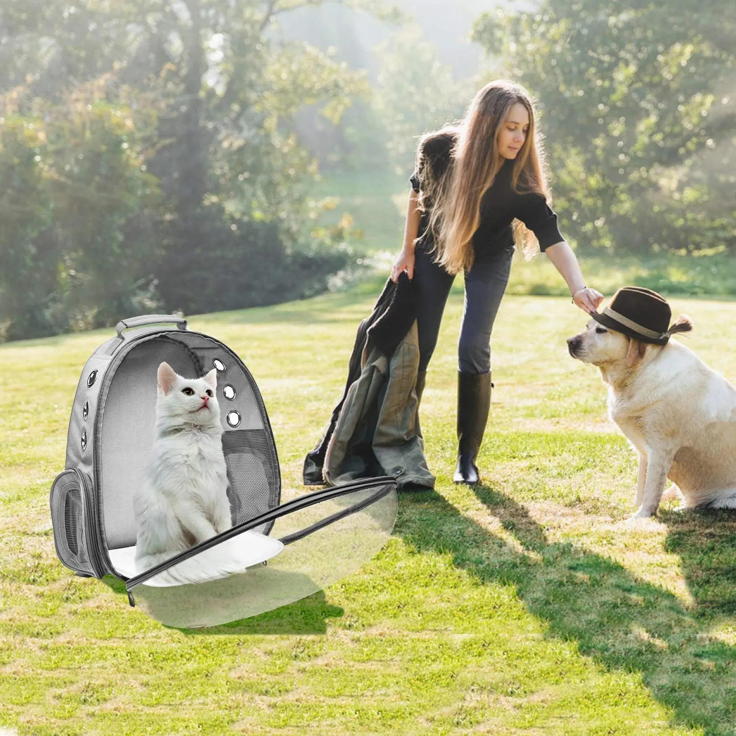 Bubble Carrying Bag for Small Medium dogs Cats, Space Capsule Pet Hiking backpack, Airline Approved Travel carrier - Grey