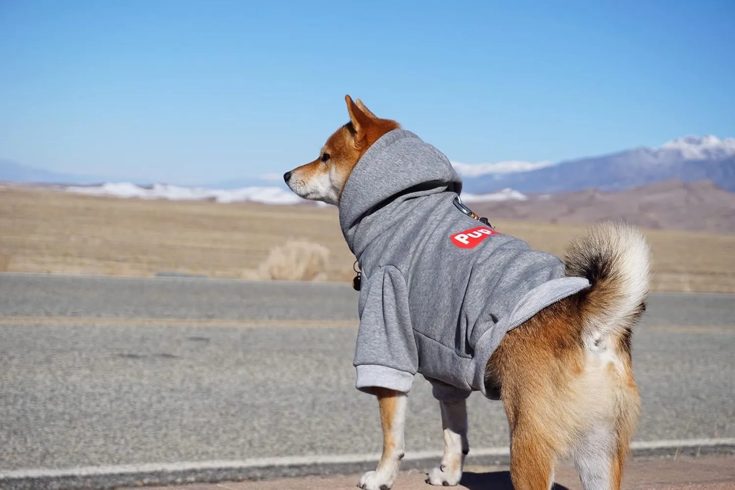 ChoChoCho Pup Dog Hoodie & Sweater - Stylish Streetwear Cat & Puppy Cotton Sweatshirts in Gray - S, M, L