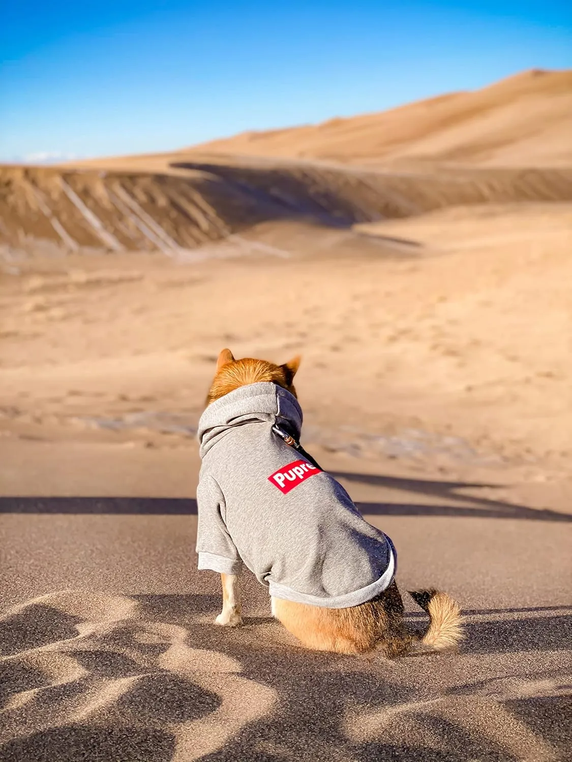 ChoChoCho Pup Dog Hoodie & Sweater - Stylish Streetwear Cat & Puppy Cotton Sweatshirts in Gray - S, M, L