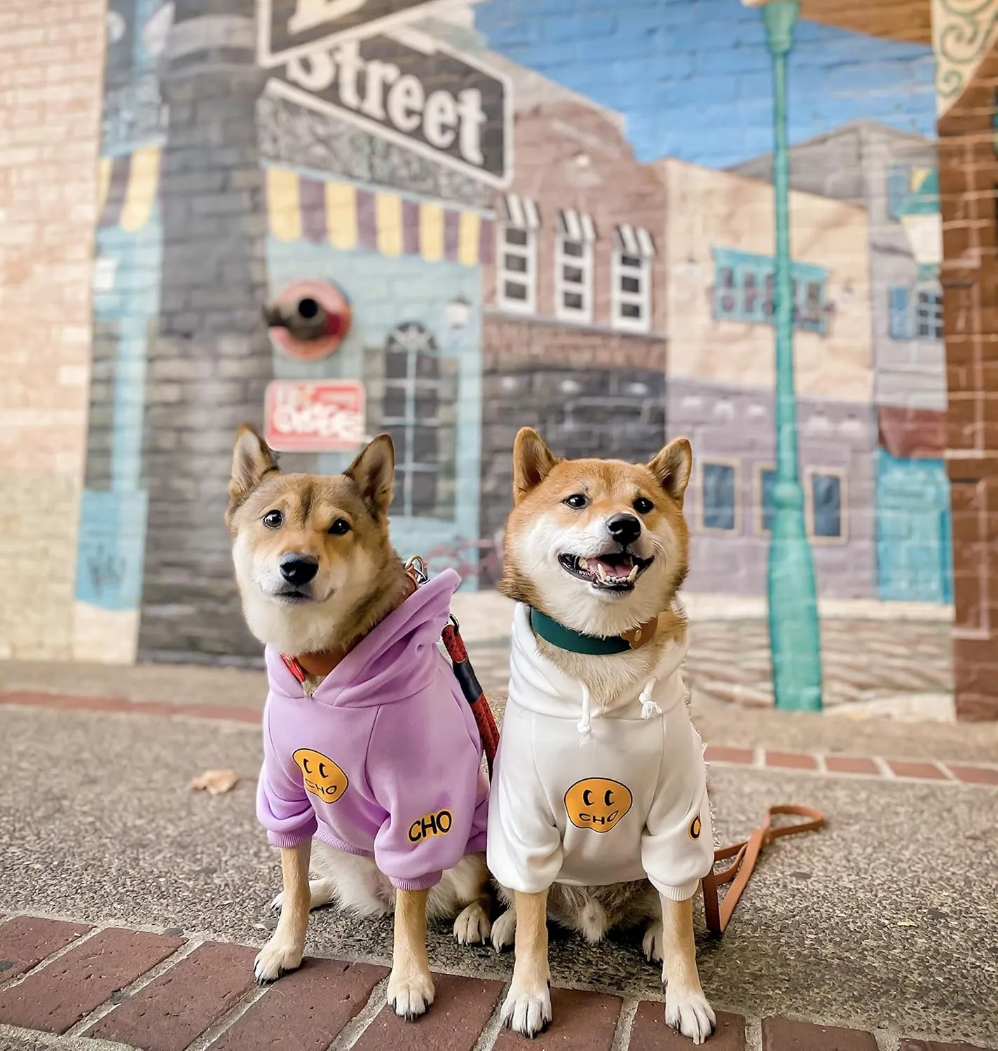 ChoChoCho Smiley Dog Hoodie Stylish Dog Clothes Smiley Face Sweater Cotton Sweatshirt Fashion Outfit for Dogs Cats Puppy Small Medium Large (M, Purple)