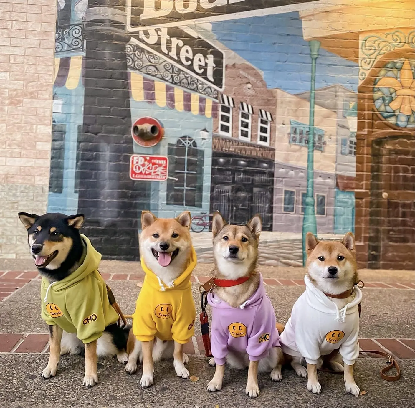 ChoChoCho Smiley Dog Hoodie Stylish Dog Clothes Smiley Face Sweater Cotton Sweatshirt Fashion Outfit for Dogs Cats Puppy Small Medium Large (M, Purple)