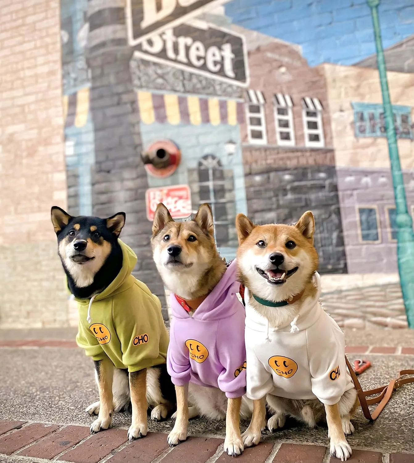 ChoChoCho Smiley Dog Hoodie Stylish Dog Clothes Smiley Face Sweater Cotton Sweatshirt Fashion Outfit for Dogs Cats Puppy Small Medium Large (S, White)