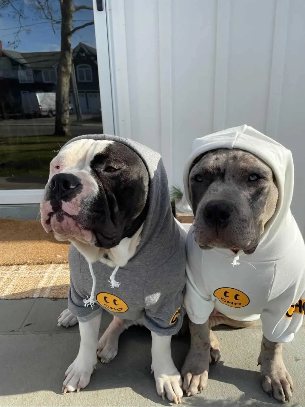 ChoChoCho Smiley Dog Hoodie Stylish Dog Clothes Smiley Face Sweater Cotton Sweatshirt Fashion Outfit for Dogs Cats Puppy Small Medium Large (S, White)