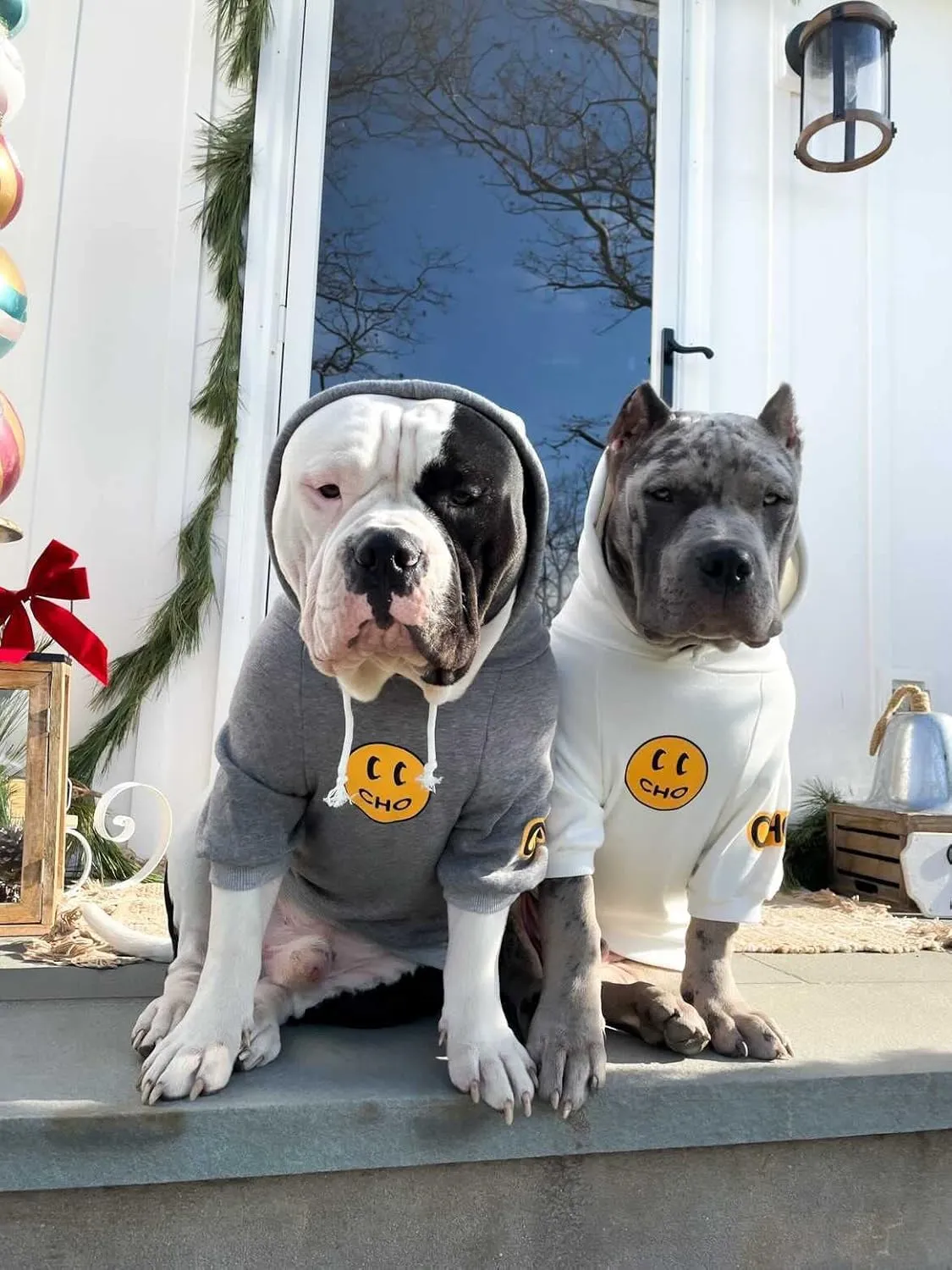 ChoChoCho Smiley Dog Hoodie Stylish Dog Clothes Smiley Face Sweater Cotton Sweatshirt Fashion Outfit for Dogs Cats Puppy Small Medium Large (S, White)