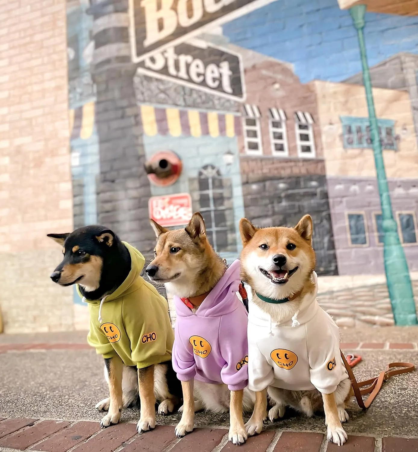 ChoChoCho Smiley Dog Hoodie Stylish Dog Clothes Smiley Face Sweater Cotton Sweatshirt Fashion Outfit for Dogs Cats Puppy Small Medium Large (S, White)