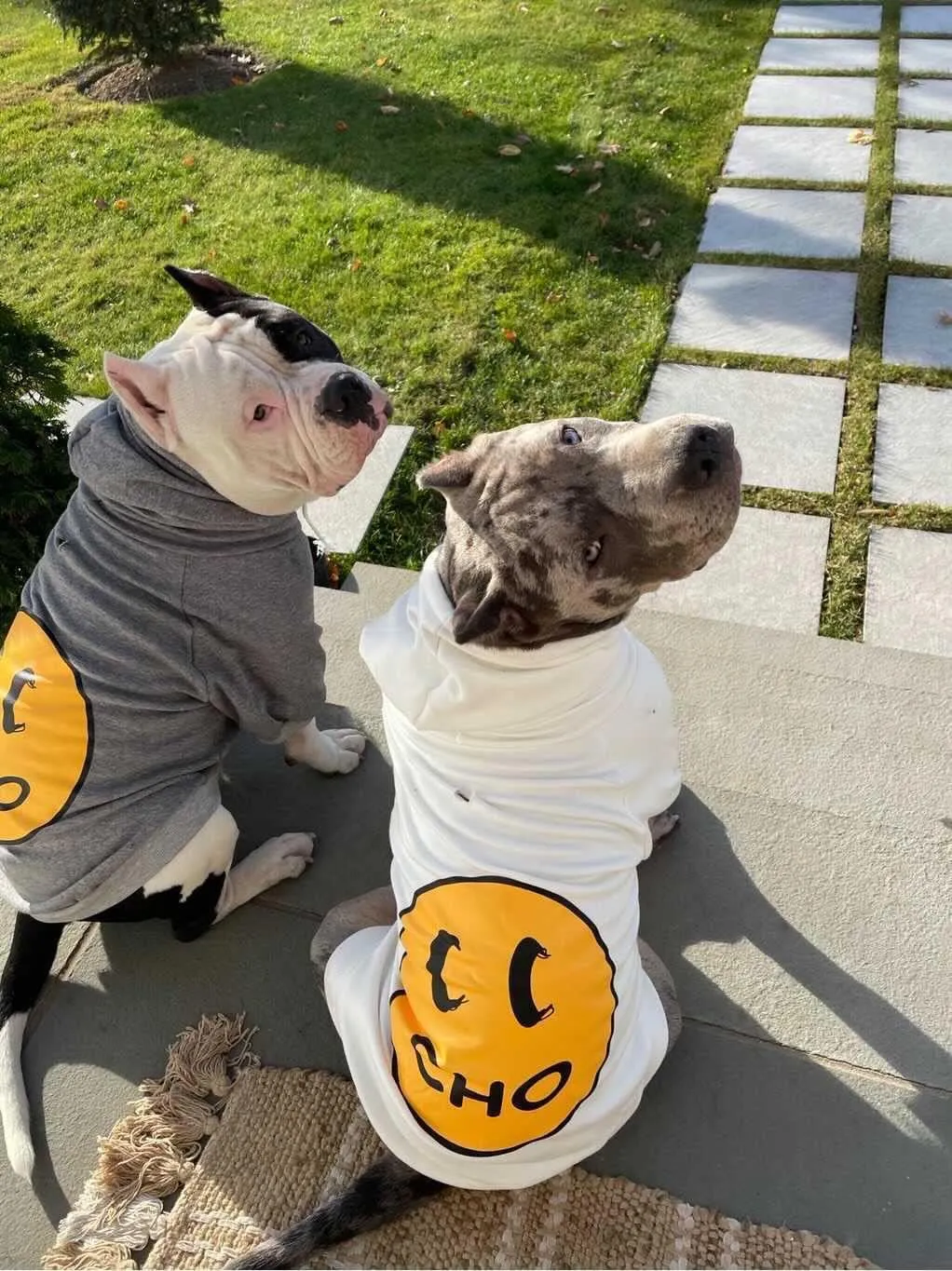 ChoChoCho Smiley Dog Hoodie Stylish Dog Clothes Smiley Face Sweater Cotton Sweatshirt Fashion Outfit for Dogs Cats Puppy Small Medium Large (S, White)
