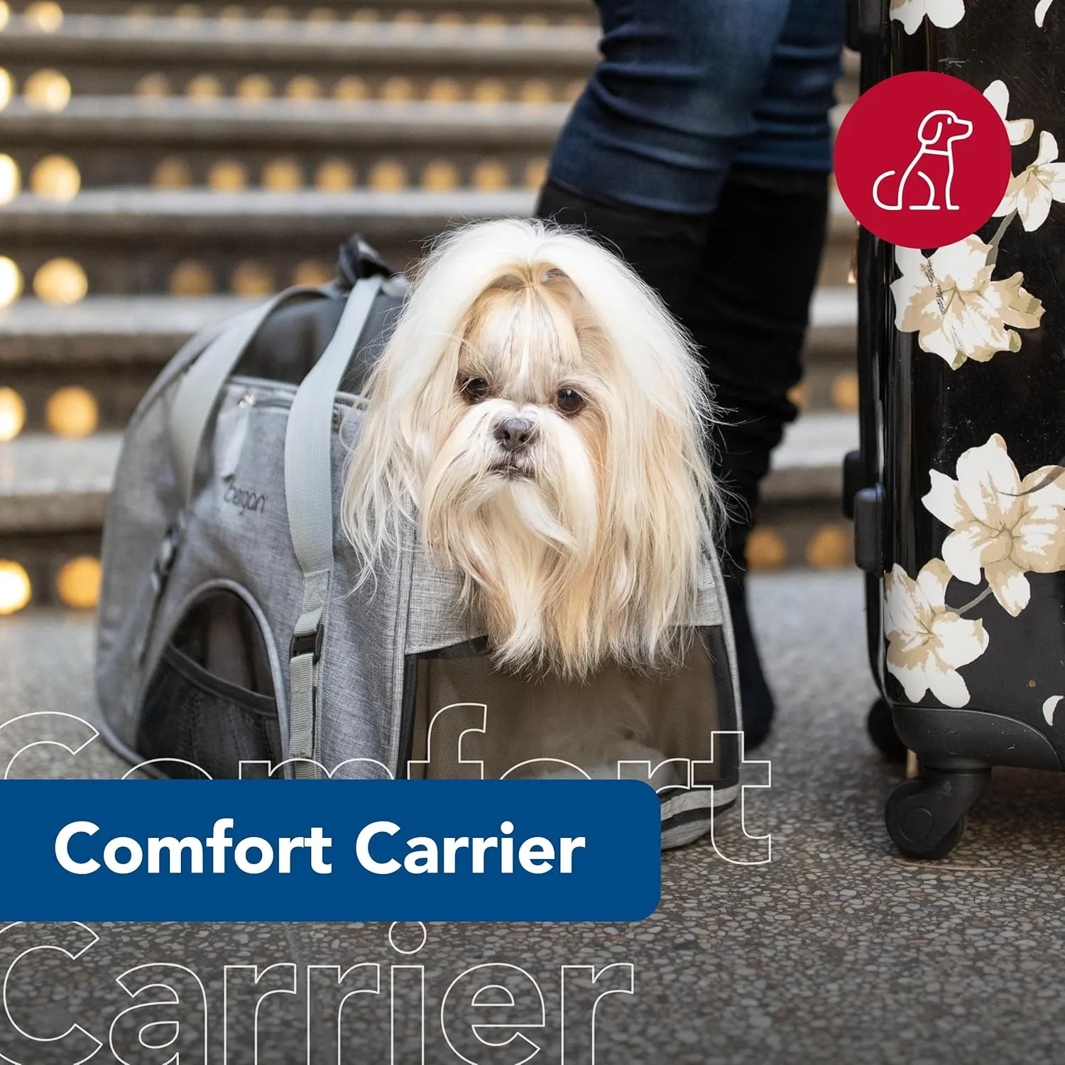 Coastal Pet Bergan Comfort Carrier - Breathable Travel Carrier for Dogs & Cats - Heather Bermuda, 19" x 10" x 13"