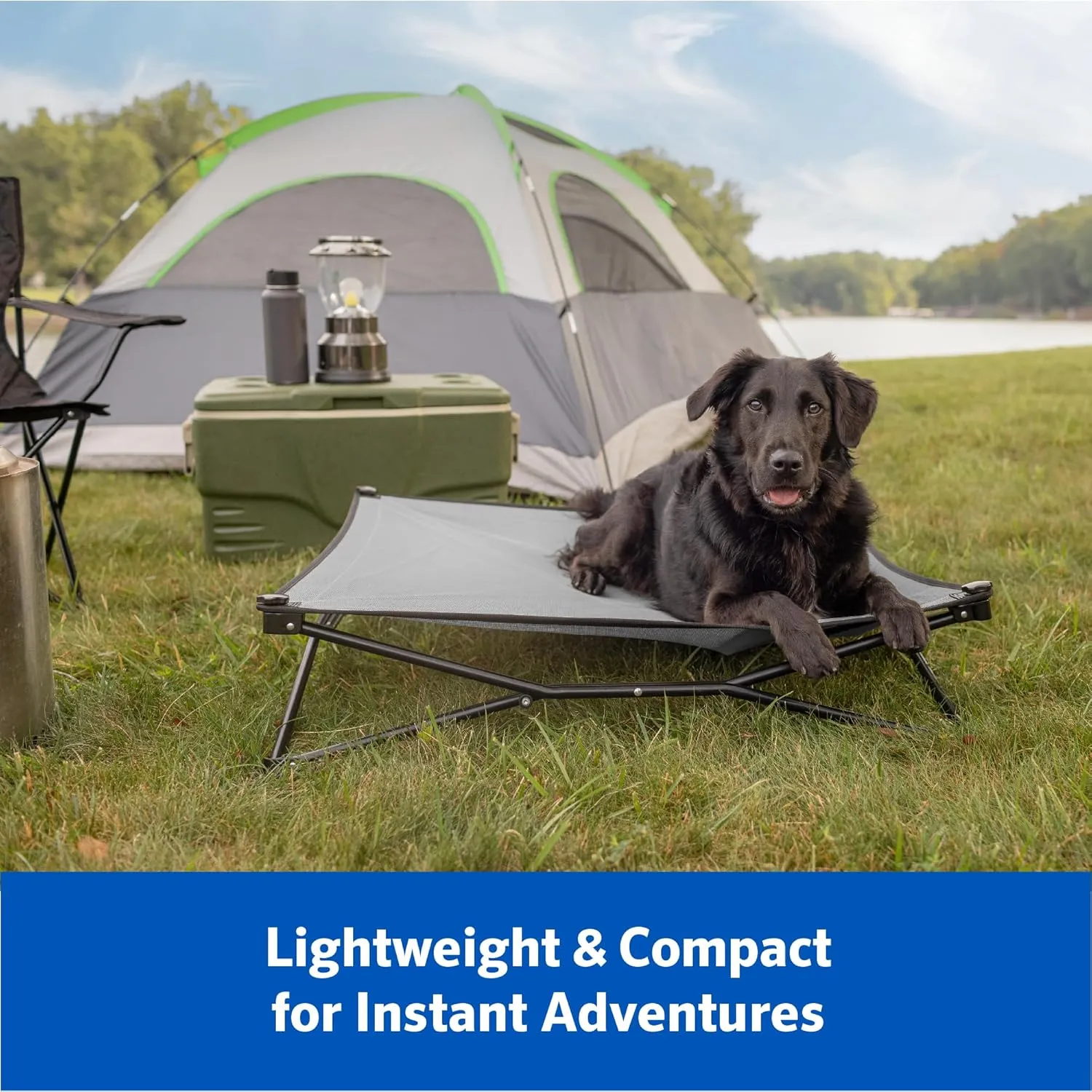 Coolaroo On-The-Go Elevated Dog Bed Kit – Portable & Cooling Travel Cot with HeatShield Fabric for Large Dogs, Lightweight & Compact, Includes Matching Carry Bag & Pacific Blue Bonus Cover, Large