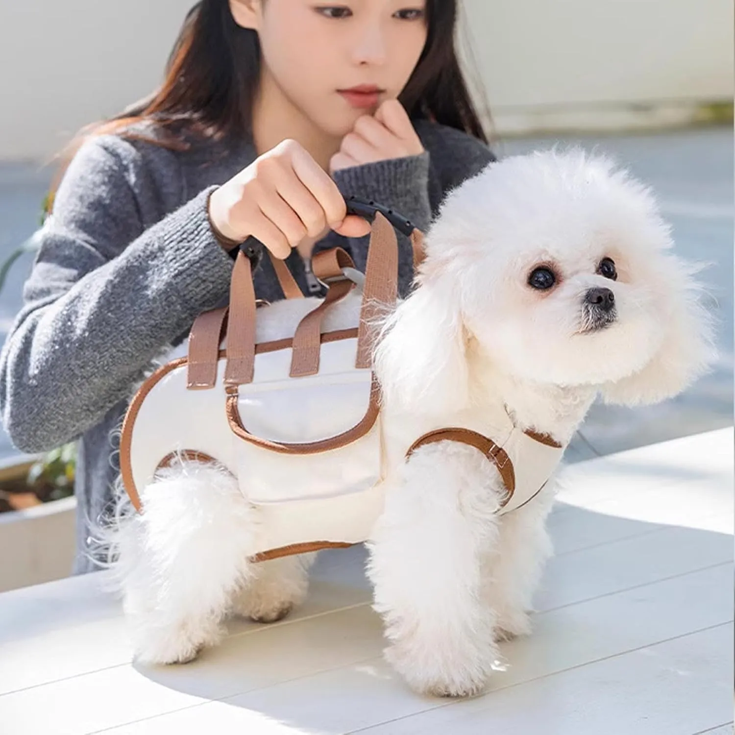 Dog Cat Carrier, Adjustable Breathable Pet Carrier Travel Bag, Pet Traction Shoulder Pouch Bag, Comfort Carriers for Dogs, Cats, Pet Handbag for Outdoor, Shopping, Camping (L)