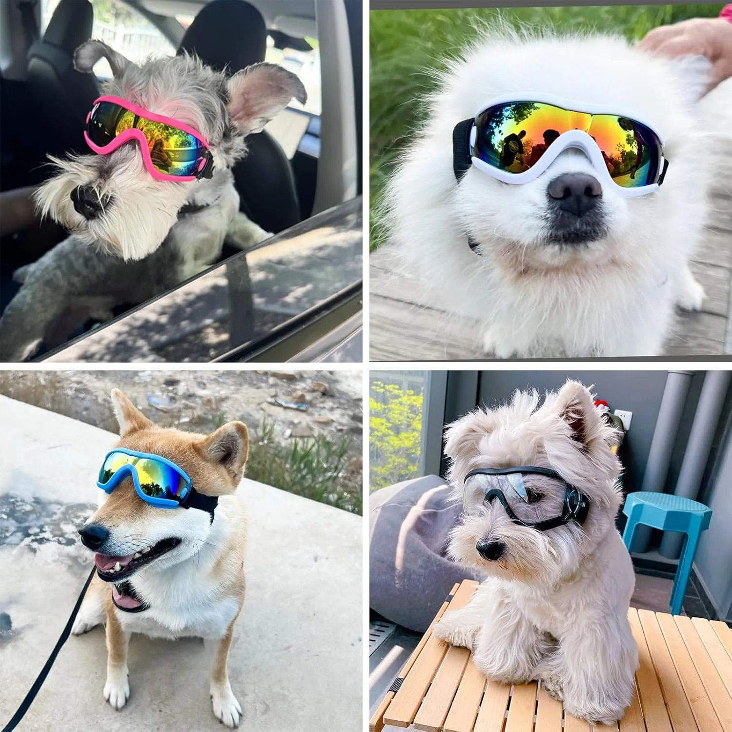 Dog Goggles Small Breed Dog Sunglasses with Adjustable for UV Protection Eyewear Doggy Doggie Puppy Glasses Anti-Fog Wind Dust Snowproof (Blue Frame Red Lens)