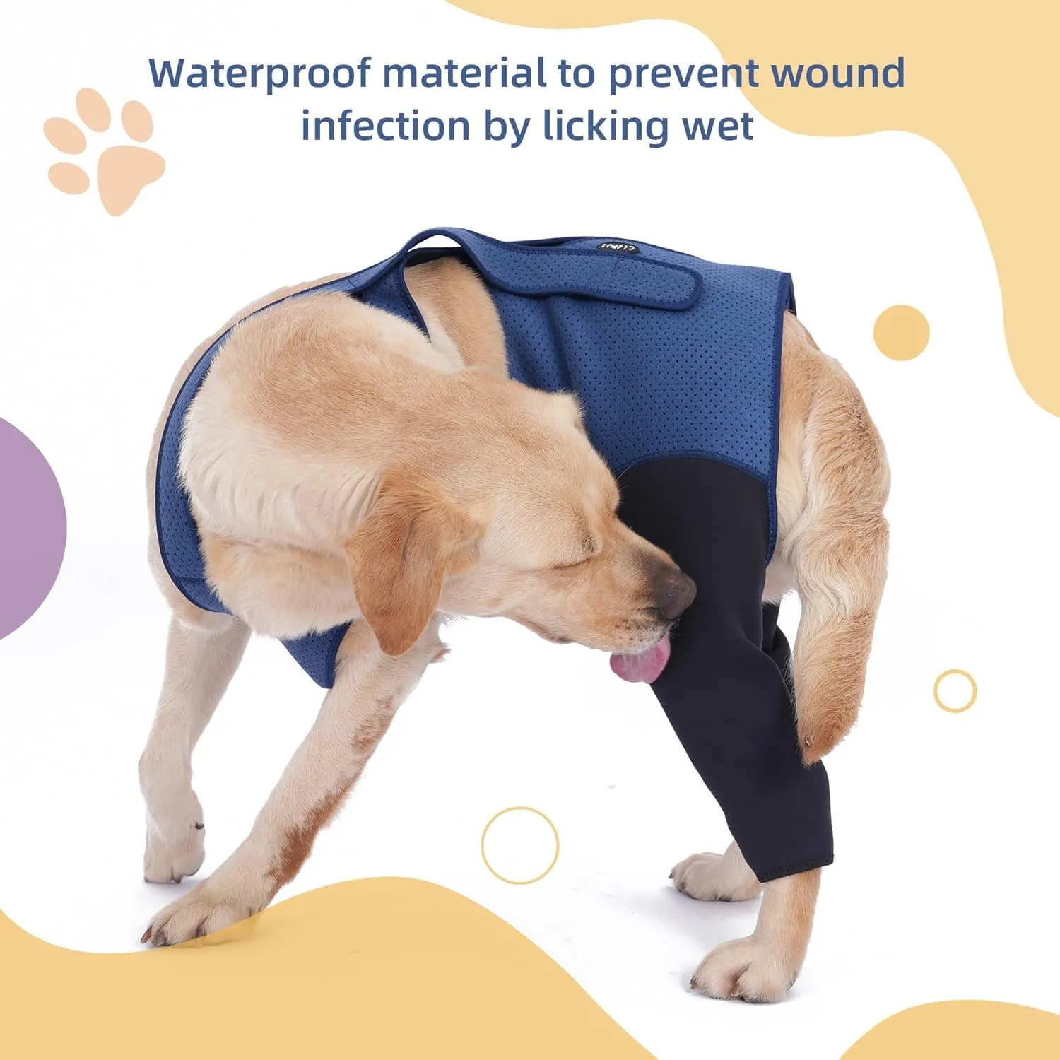 Dog Hind Leg Recovery Sleeve Dog Recovery Suit as Cone Collar Alternative, 2.5mm Thick and Waterproof, Prevent Pet Wounds Licking, Biting (Medium)