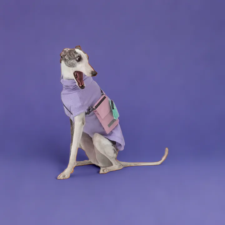 Gobi : UPF 50  Sun Protection Tee - Lavender