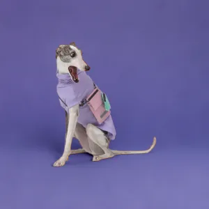 Gobi : UPF 50  Sun Protection Tee - Lavender