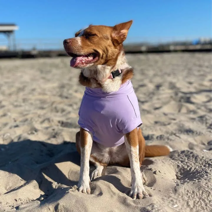 Gobi : UPF 50  Sun Protection Tee - Lavender