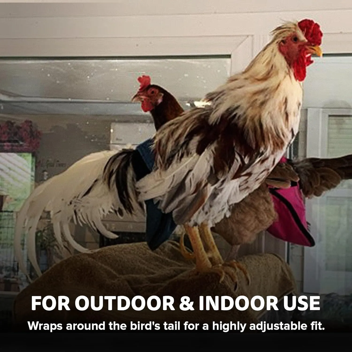 Hen Holster Wrap-Around Bird Diaper & Harness for Hens, Roosters, Ducks, Geese - with Removable Vinyl Liner, Adjustable Fit for Outdoor Adventures & Indoor Use - Easy to wear - Large, Purple