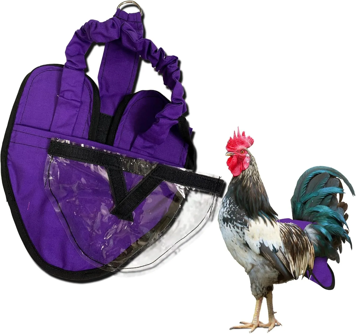 Hen Holster Wrap-Around Bird Diaper & Harness for Hens, Roosters, Ducks, Geese - with Removable Vinyl Liner, Adjustable Fit for Outdoor Adventures & Indoor Use - Easy to wear - Large, Purple