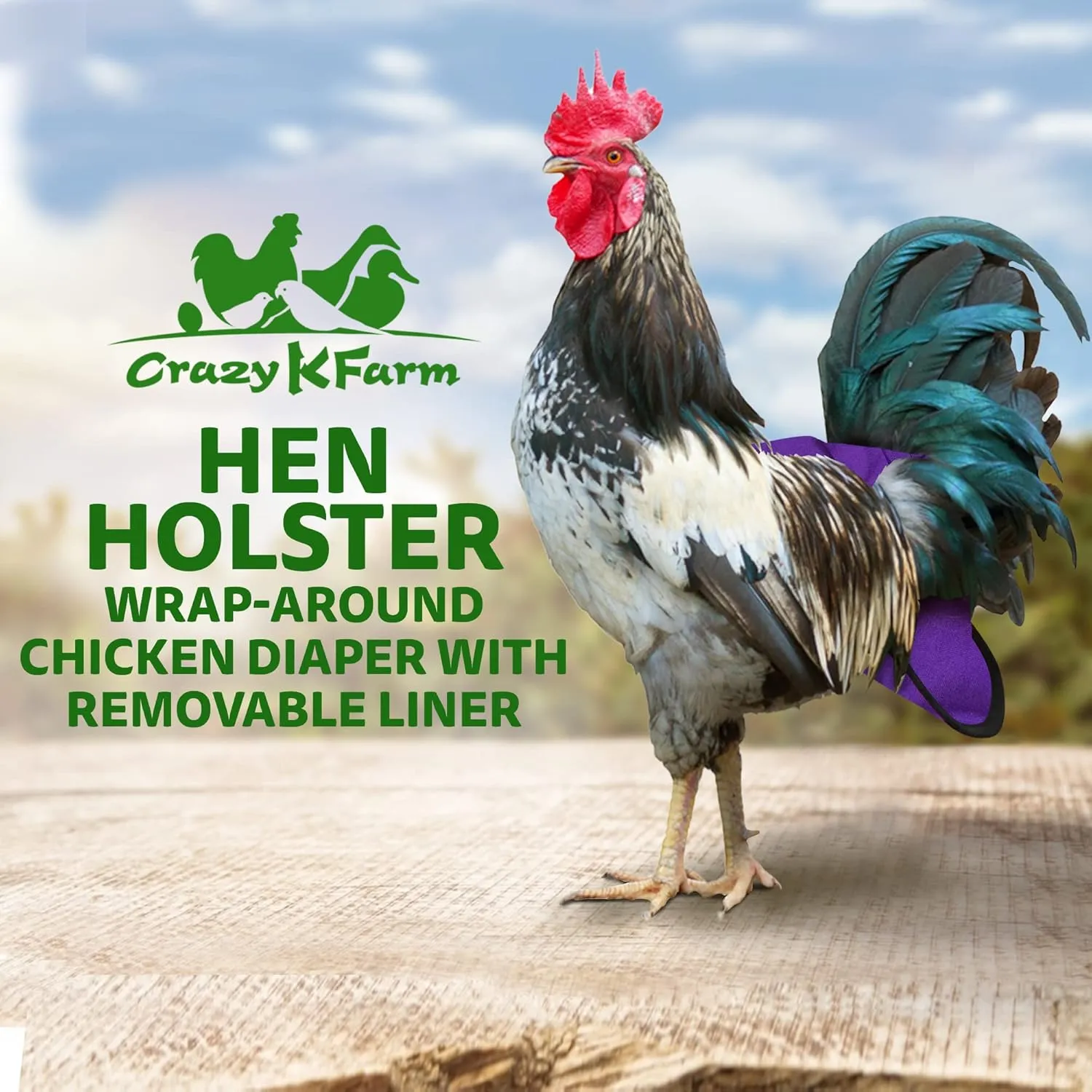 Hen Holster Wrap-Around Bird Diaper & Harness for Hens, Roosters, Ducks, Geese - with Removable Vinyl Liner, Adjustable Fit for Outdoor Adventures & Indoor Use - Easy to wear - Large, Purple