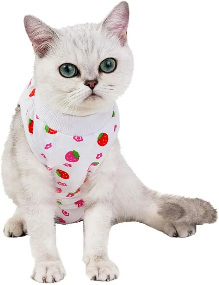 Kitipcoo Professional Surgery Recovery Suit for Cats Paste Cotton Breathable Surgery Suits for Abdominal Wounds and Skin Diseases for Cats Dogs, After Surgery Wear Suit (M (6-8 lbs), Strawberry)