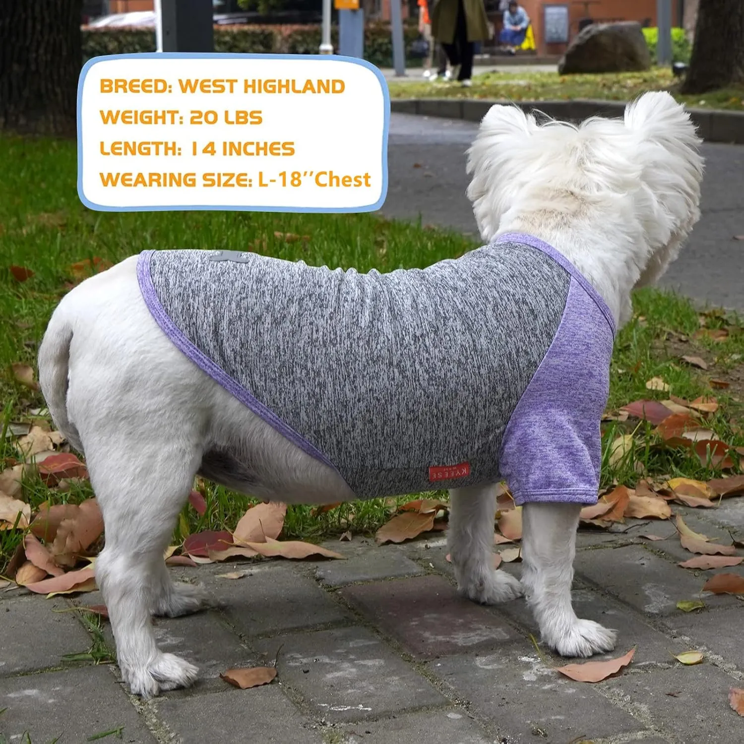 KYEESE 2 Pack Dog Shirts Quick Dry Breathable Raglan Sleeve Soft Stretchy Dog T-Shirts with Reflective Label Pet Clothes for Small Dogs Sun Protection, Purple Grey, L