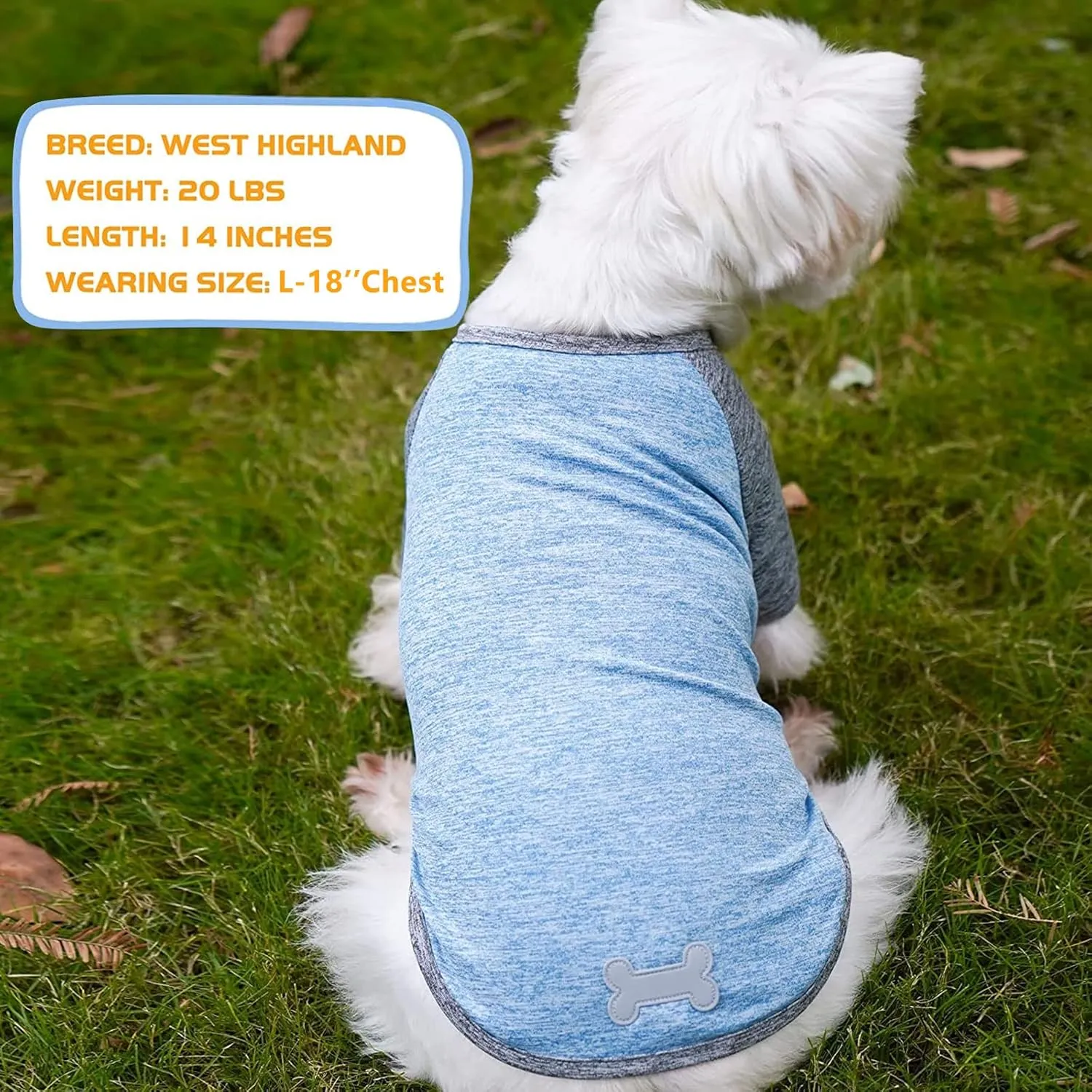 KYEESE 2 Pack Dog Shirts Quick Dry Raglan Sleeve Soft Stretchy Dog T-Shirts with Reflective Label Pet Clothes for Small Dogs