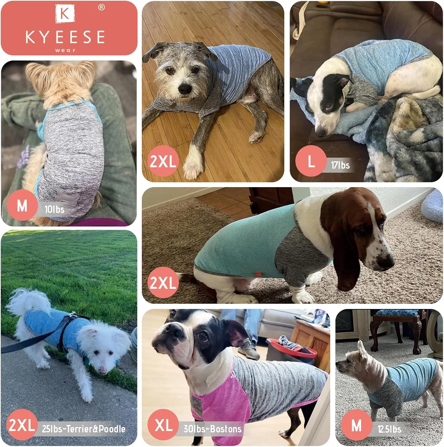 KYEESE 2 Pack Dog Shirts Quick Dry Raglan Sleeve Soft Stretchy Dog T-Shirts with Reflective Label Pet Clothes for Small Dogs