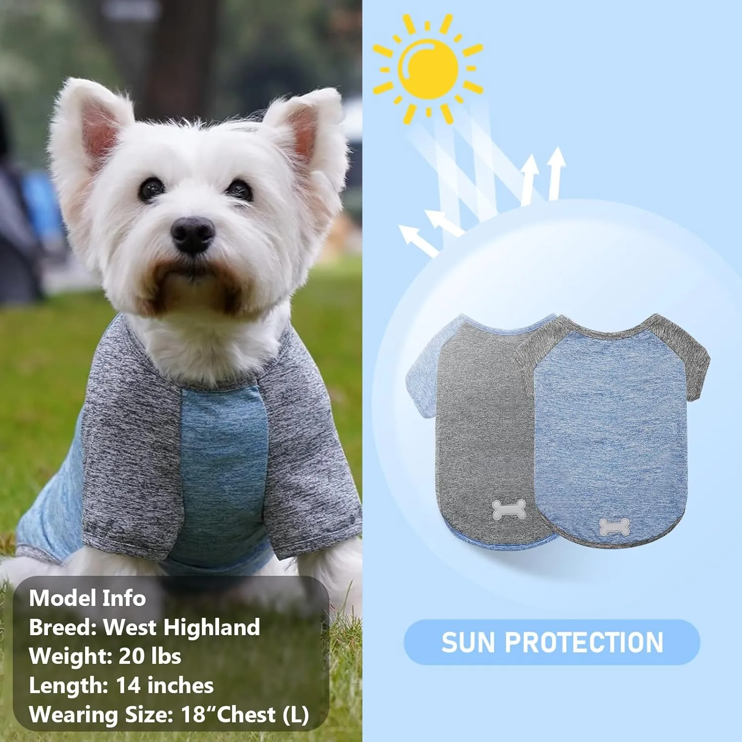 KYEESE 2 Pack Dog Shirts Quick Dry Raglan Sleeve Soft Stretchy Dog T-Shirts with Reflective Label Pet Clothes for Small Dogs