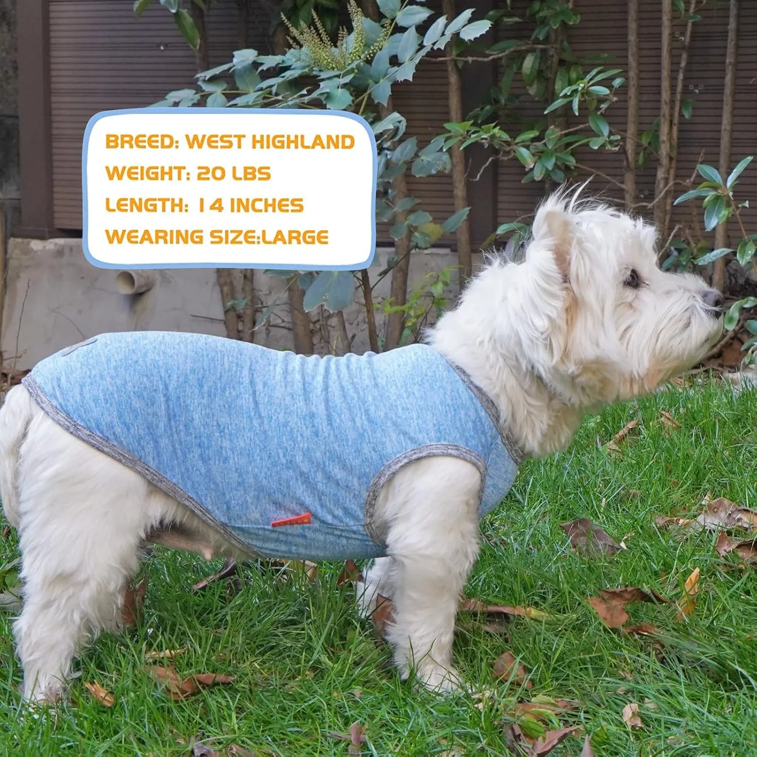 KYEESE 2 Pack Dog Shirts Quick Dry Soft Stretchy Dog T-Shirts with Reflective Label Tank Top Sleeveless Vest Sun Protection Pet Clothes for Large Pet, Large, Light Blue Grey