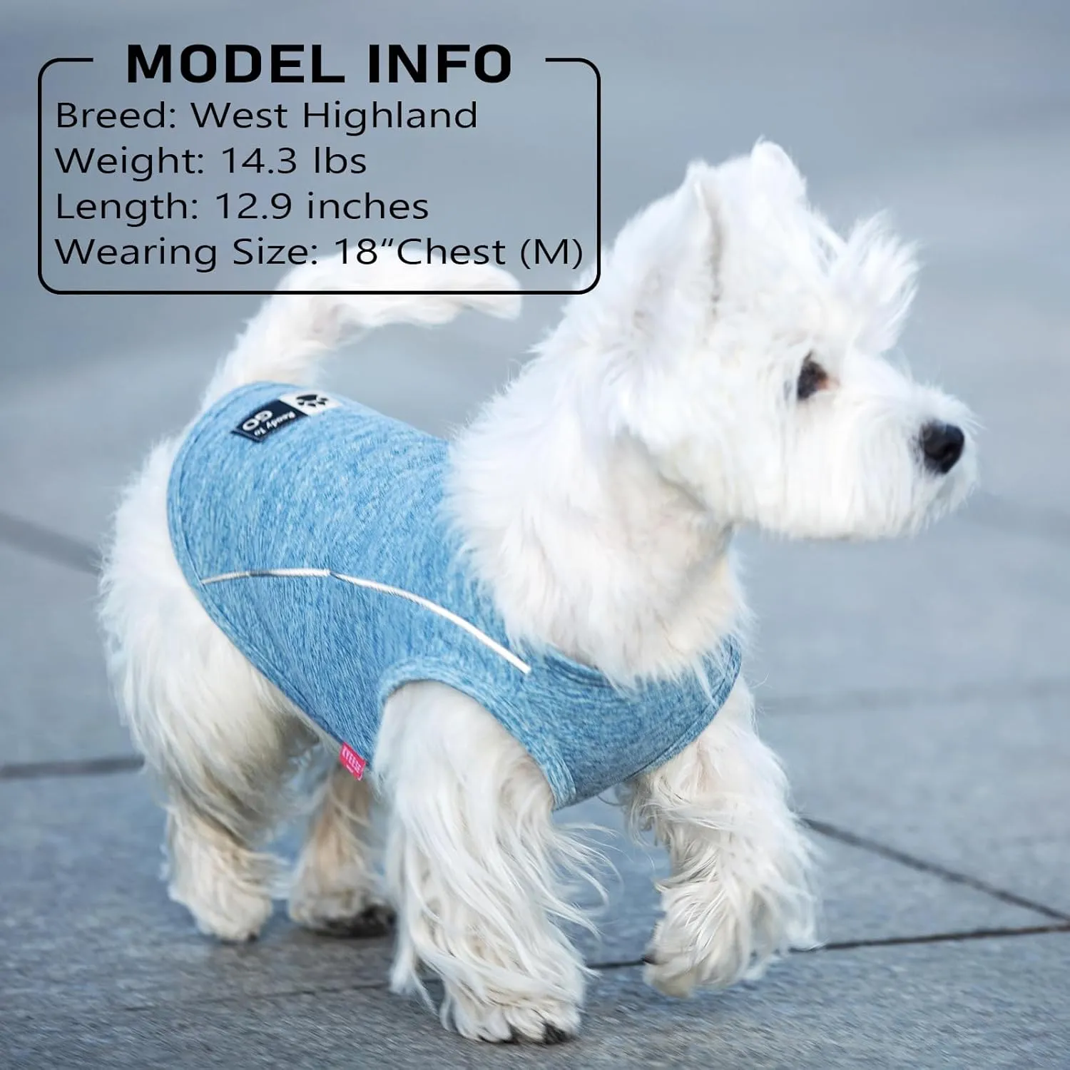 KYEESE 2Pack Dog Shirt with Reflective Stripe Athletic Tank Top Pet T Shirt Breathable Stretchy Sleeveless Dog Vest,Grey Blue,XL
