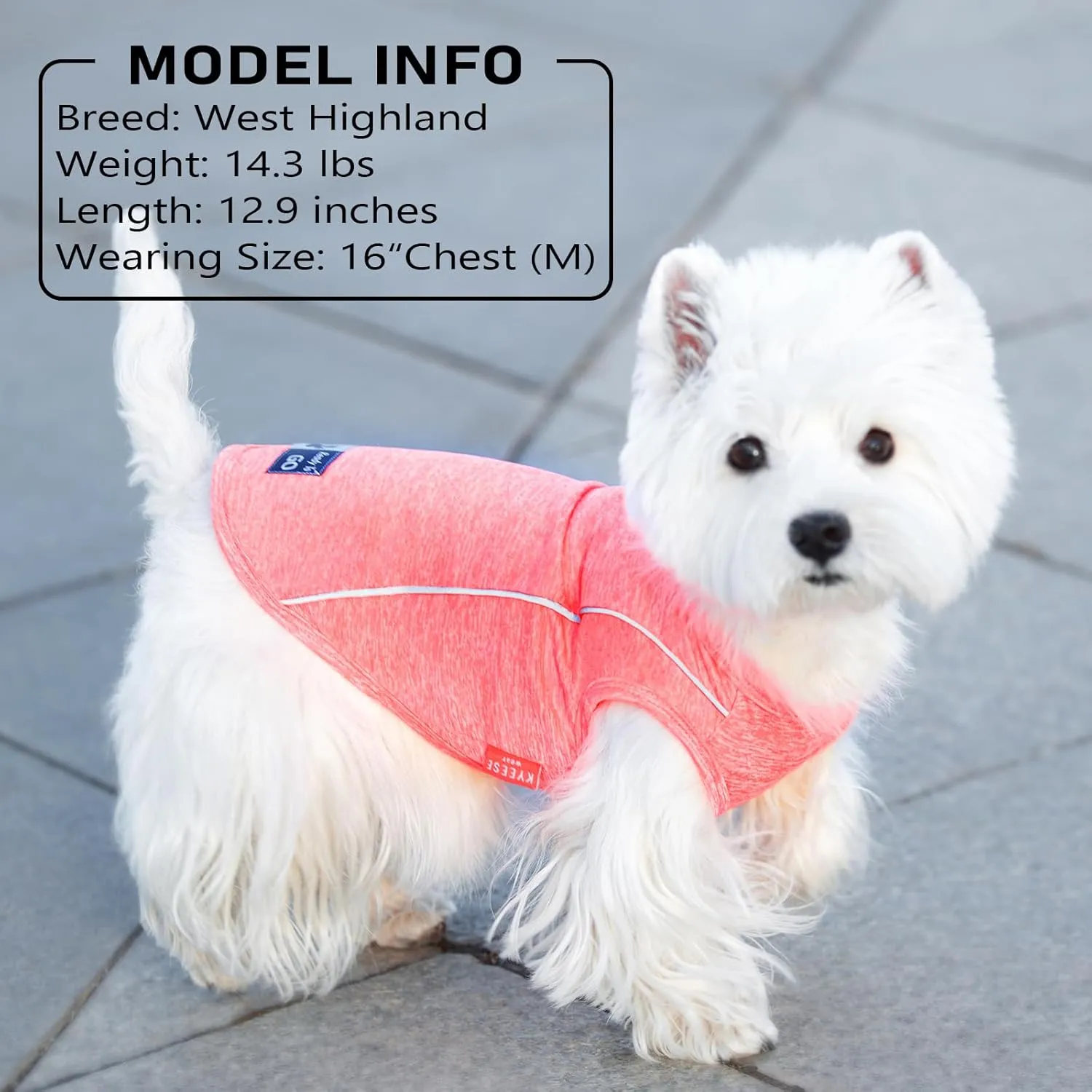 KYEESE 2Pack Dog Shirt with Reflective Stripe Athletic Tank Top Pet T Shirt Breathable Stretchy Sleeveless Dog Vest,Grey Blue,XL