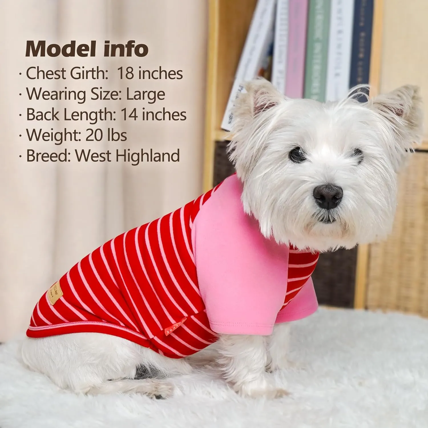 KYEESE 2Pack Stretchy Lightweight Dog Sweater Sweatshirt Fleece Pullover for Small Dogs Male Comfort Soft Coats Dachshund Clothes