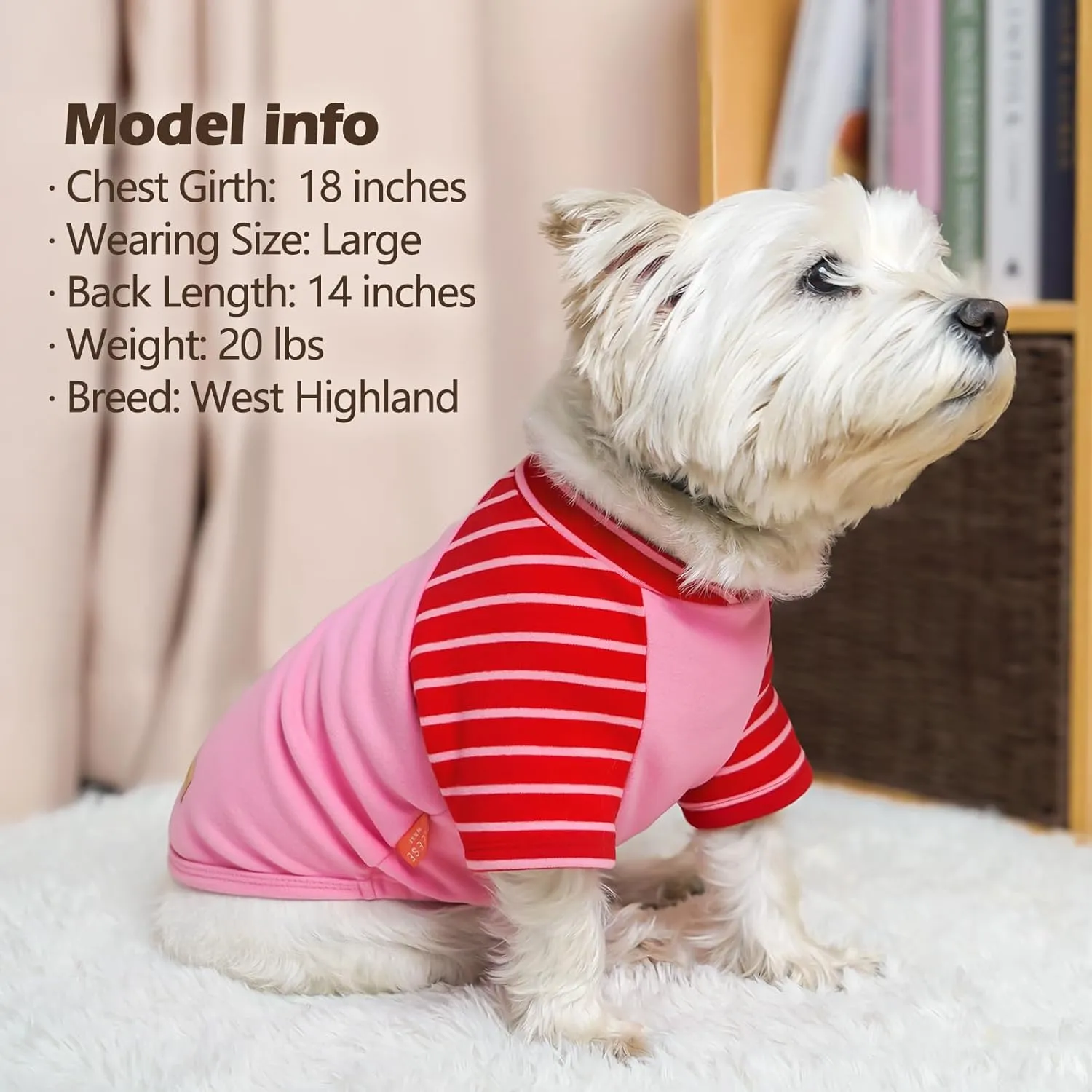 KYEESE 2Pack Stretchy Lightweight Dog Sweater Sweatshirt Fleece Pullover for Small Dogs Male Comfort Soft Coats Dachshund Clothes