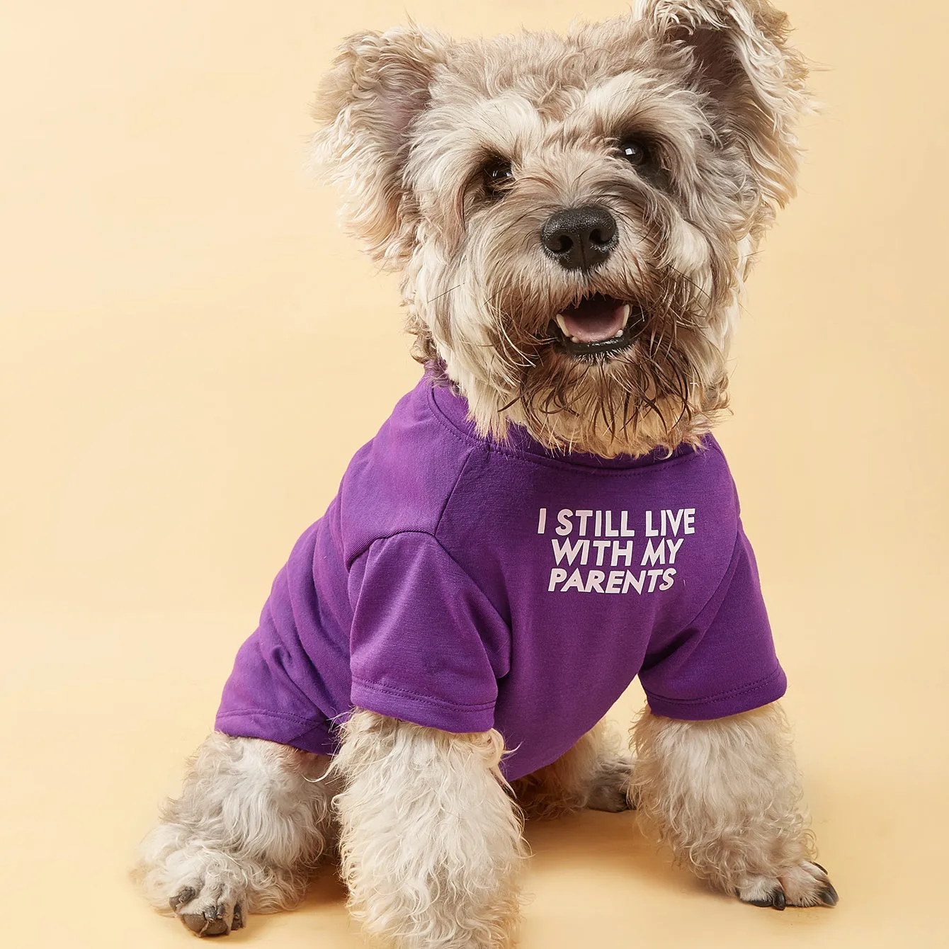 Letter Pattern Dog T-Shirts – Breathable Pet Tee