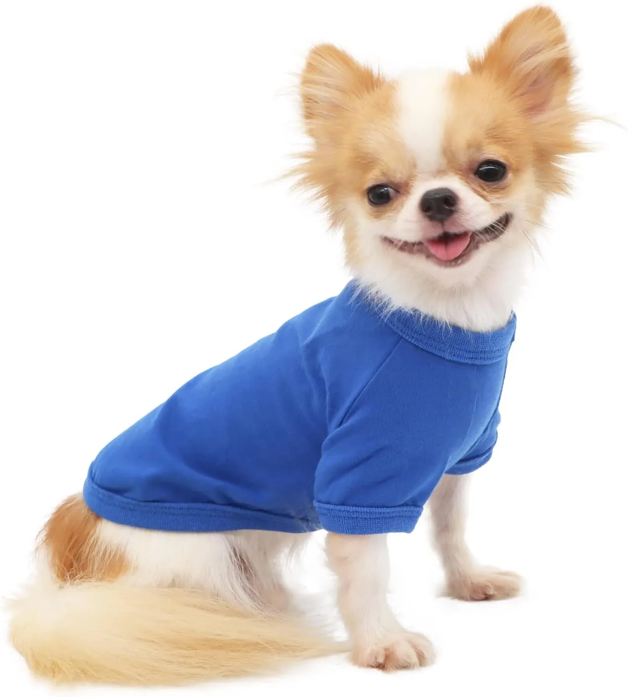 LOPHIPETS 100% Cotton Dog Tee Shirt for Small Dogs Chihuahua Puppy Clothes-Blue/L