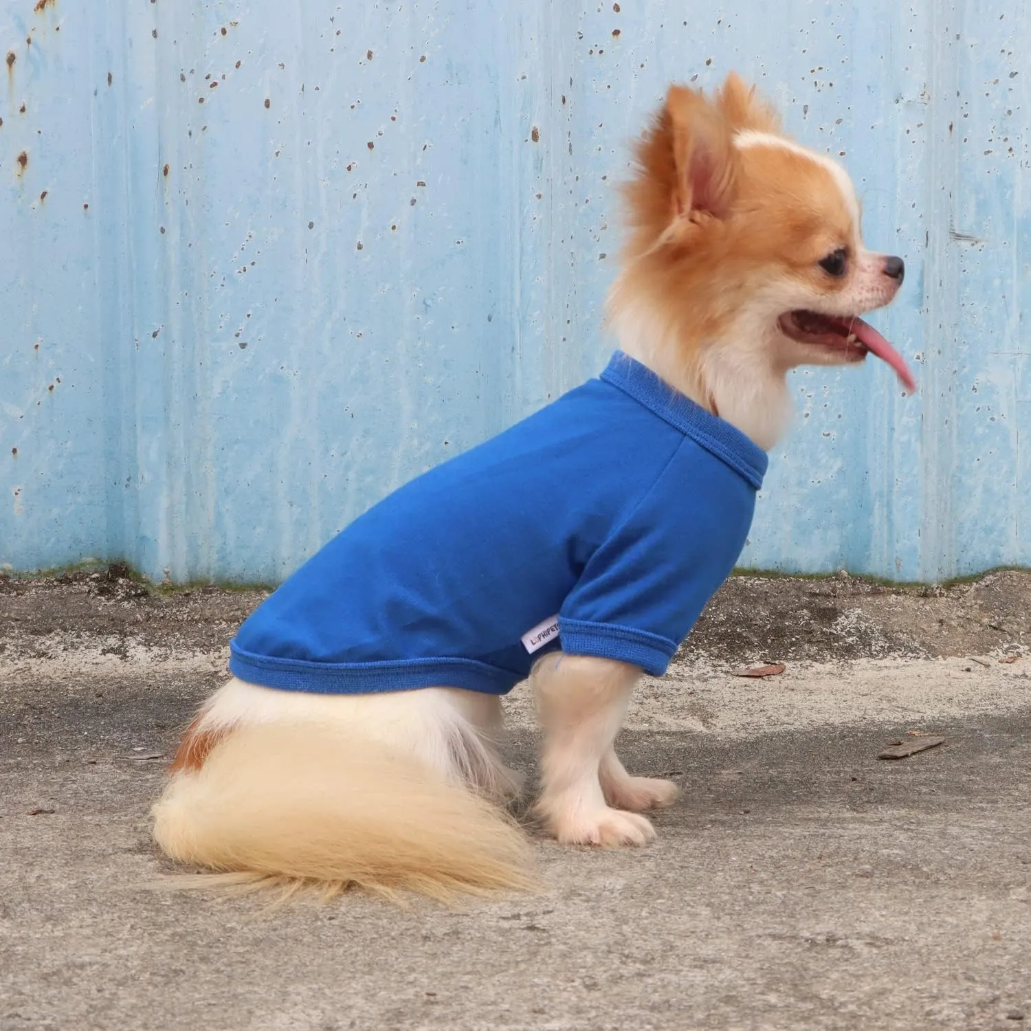 LOPHIPETS 100% Cotton Dog Tee Shirt for Small Dogs Chihuahua Puppy Clothes-Blue/L