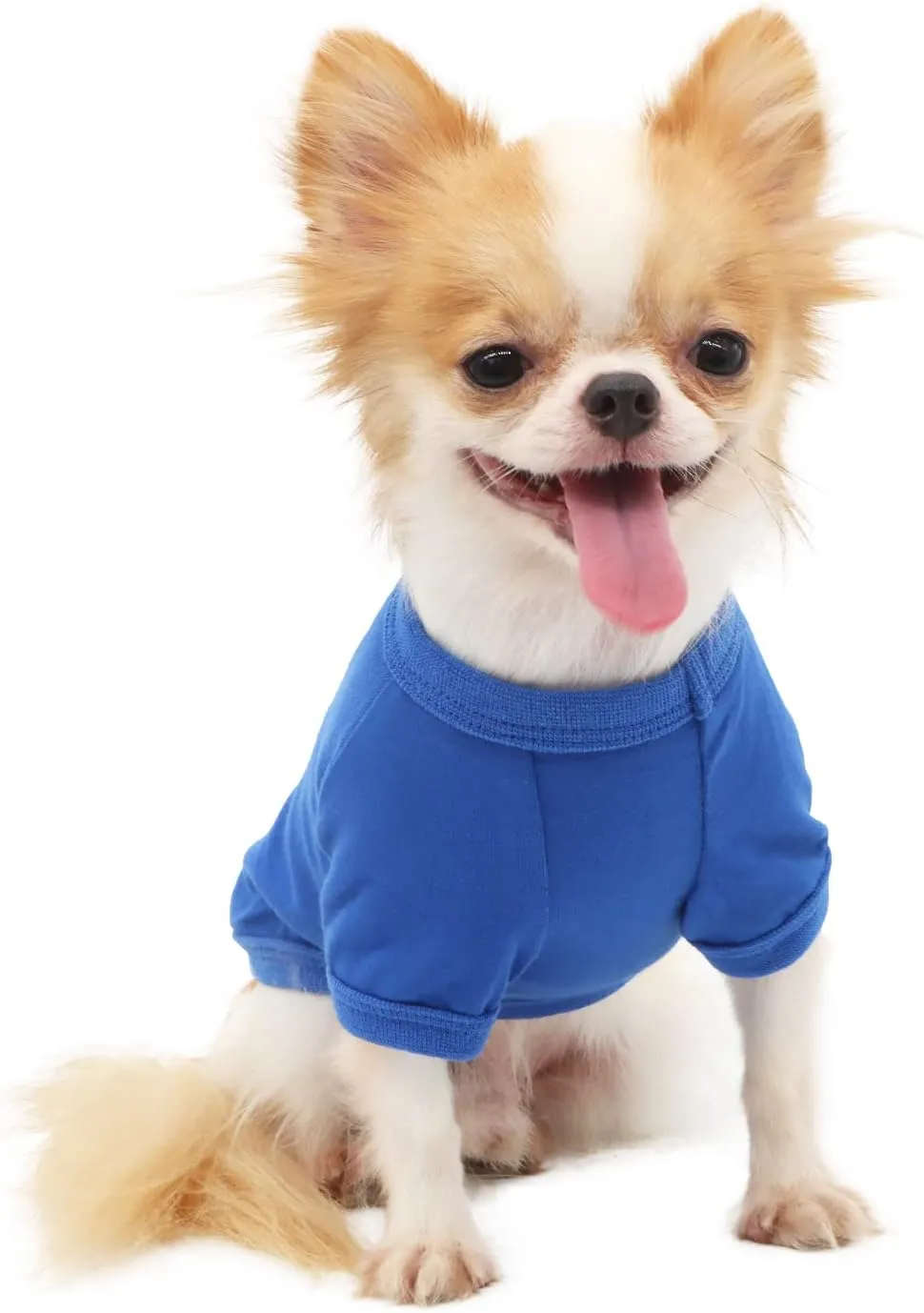 LOPHIPETS 100% Cotton Dog Tee Shirt for Small Dogs Chihuahua Puppy Clothes-Blue/L