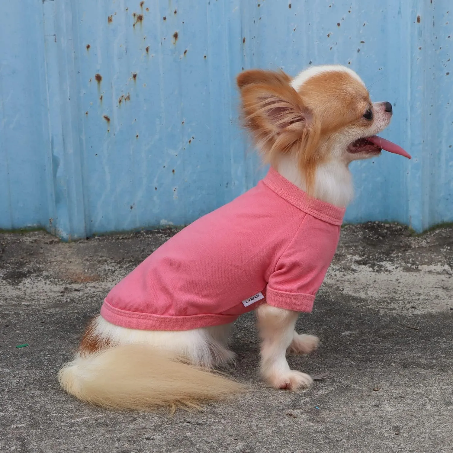 LOPHIPETS 100% Cotton Dog Tee Shirt for Small Dogs Chihuahua Puppy Clothes-Pink/L
