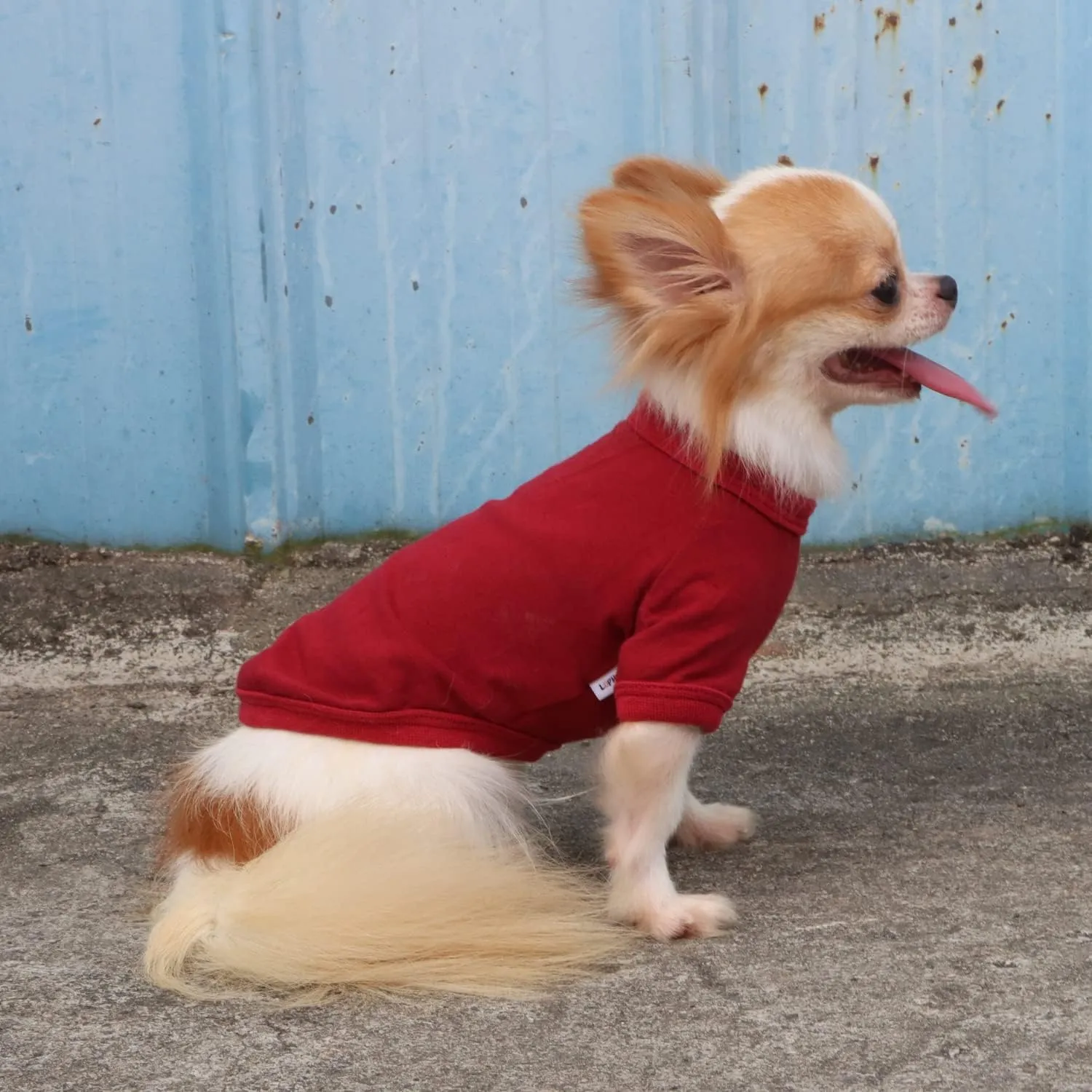 LOPHIPETS 100% Cotton Dog Tee Shirt for Small Dogs Chihuahua Puppy Clothes-Red/L